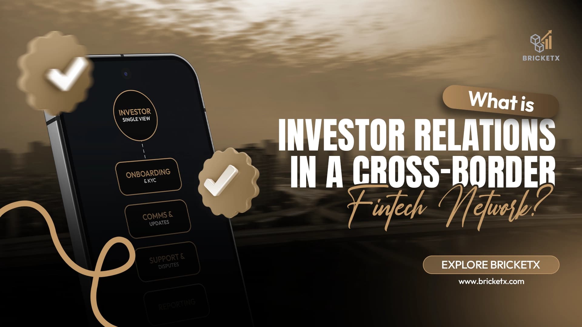 What Is Investor Relations in a Cross-Border Fintech Network?